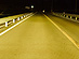 写真-ライジングイエロー