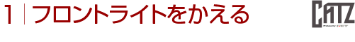 tgCg