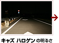 LY nQ̖邳